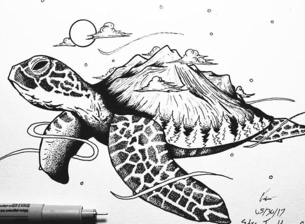 Тату черепаха в стиле скетч