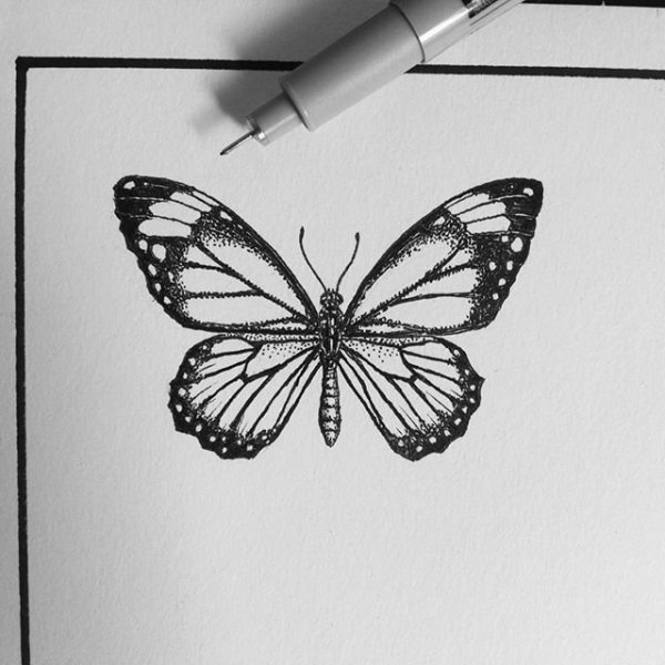 Бабочка эскиз