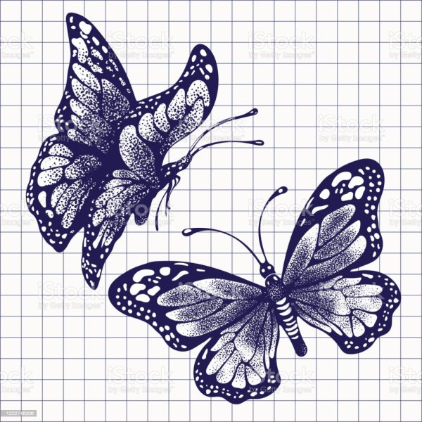 Насекомые тушью