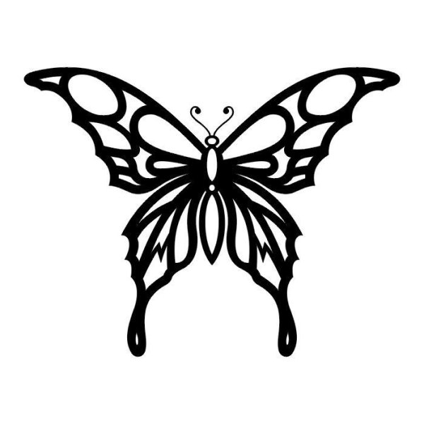 Графические узоры бабочки