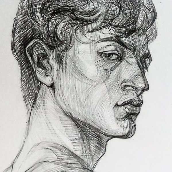 Академический портрет ручкой