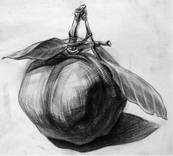 Натюрморт углем