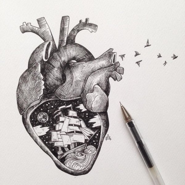 Анатомическое сердце тату эскиз