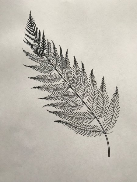 Листик папоротника тату