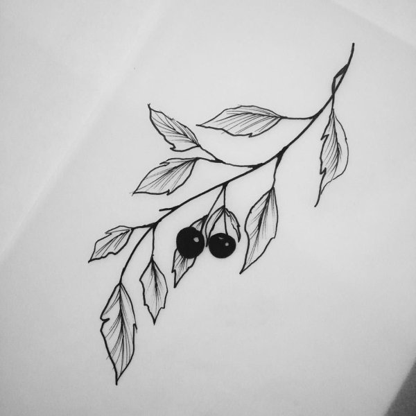 Эскиз ветки с листьями