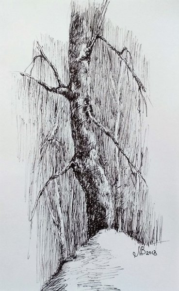 Графика ручкой дерево