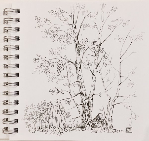 Осенний пейзаж набросок