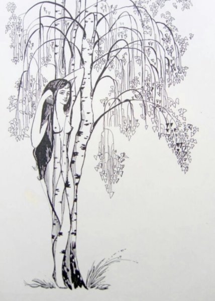 Береза карандашом
