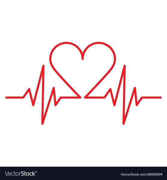 Виды кардиограмма сердца