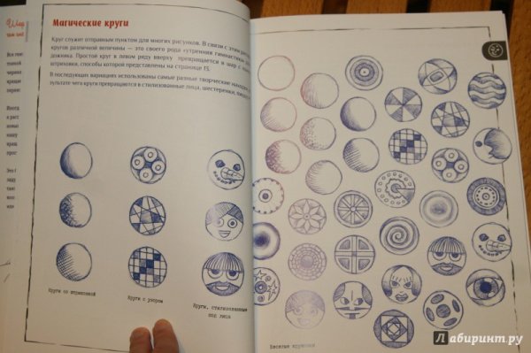 Рисунок шариковой ручкой Гекко