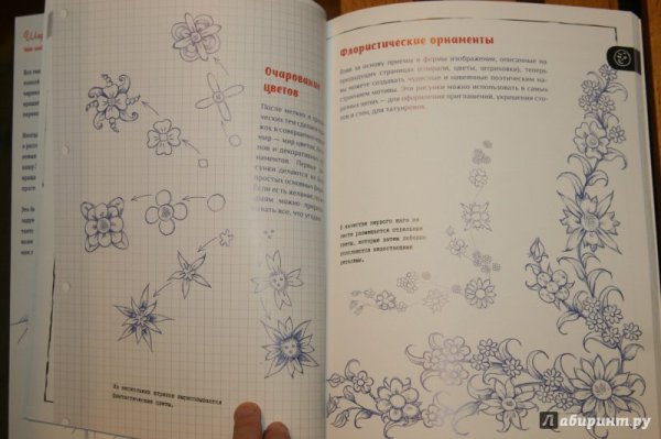 Рисовать шариковой ручкой книжки.