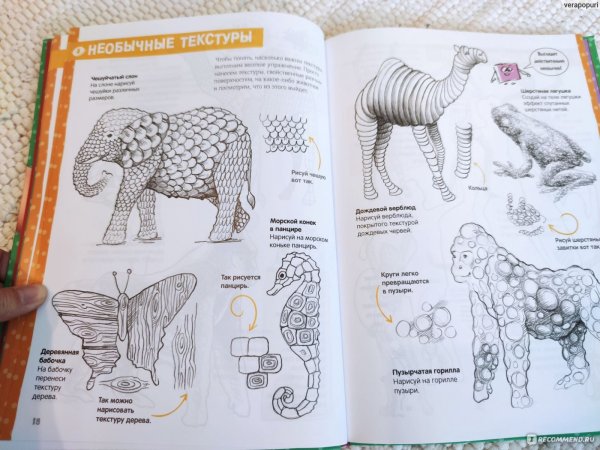 Пошаговый курс рисования для детей Кекк