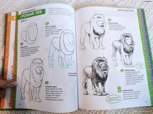 Пошаговый курс рисования для детей