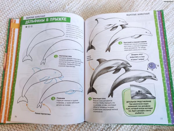 Пошаговый курс рисования для детей