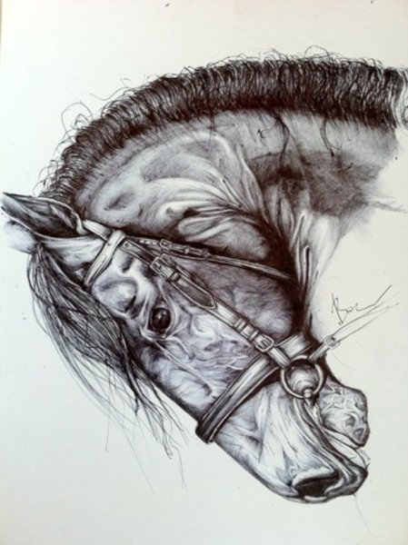 Македонский рисунок ручкой стиль