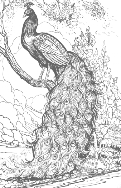 Птица гелевой ручкой