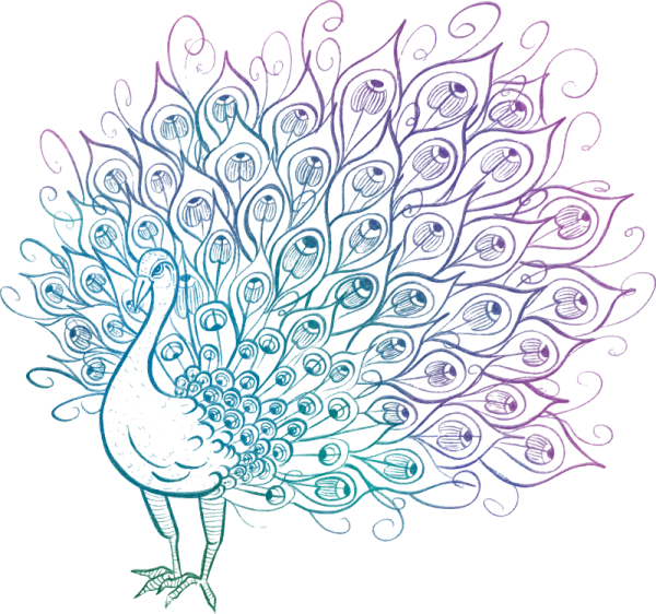 Павлин в технике квиллинг