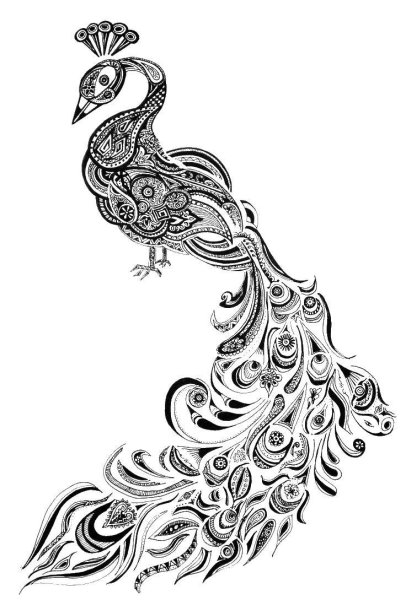 Чертеж павлина
