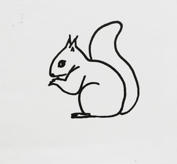 Белка рисунок легкий