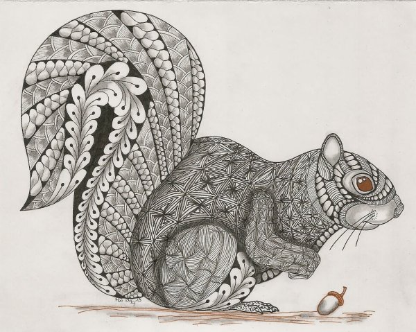 Белка Зентангл