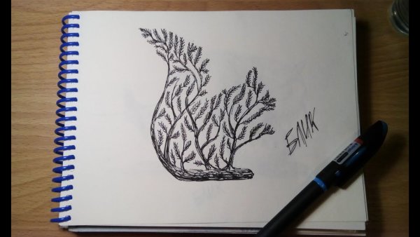 Белка гелевой ручкой