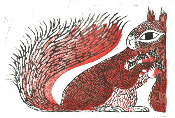 Линогравюра белка