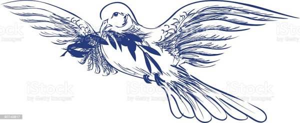 Голубь с пером в клюве