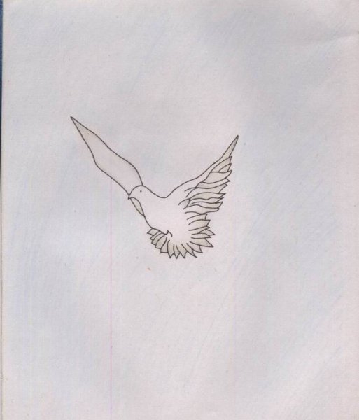 Птица в небе рисунок карандашом