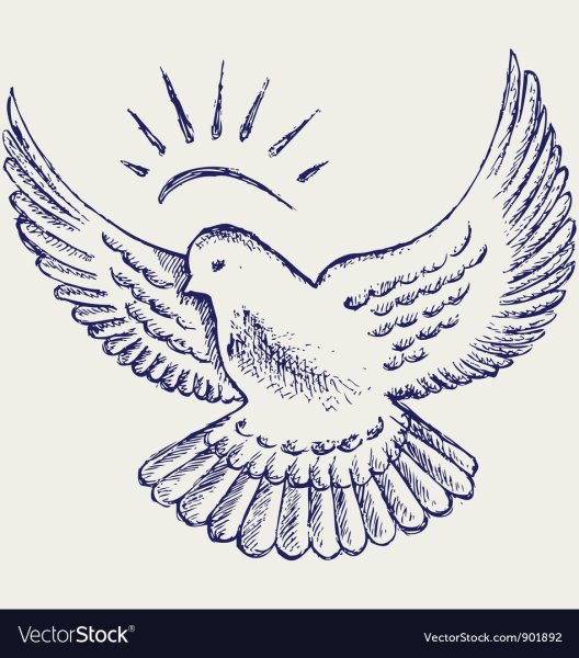 Голубь мира с расправленными крыльями