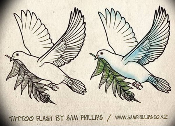 Тату голубь с оливковой ветвью