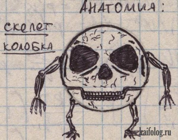 Классные зарисовки в тетради