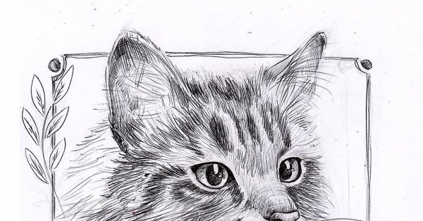 Рисунок кота ручкой