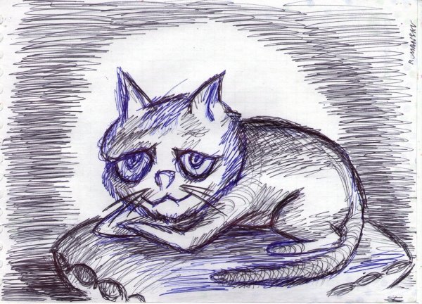 Надменный кот рисунок