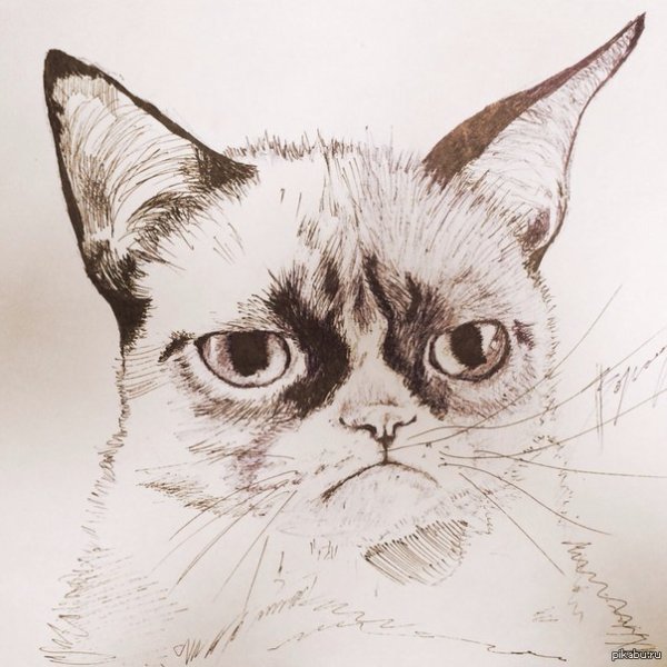 Котики гелевой ручкой