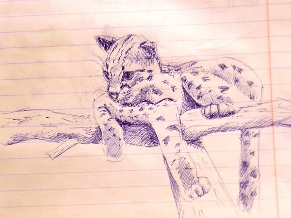 Рисунки ручкой животные