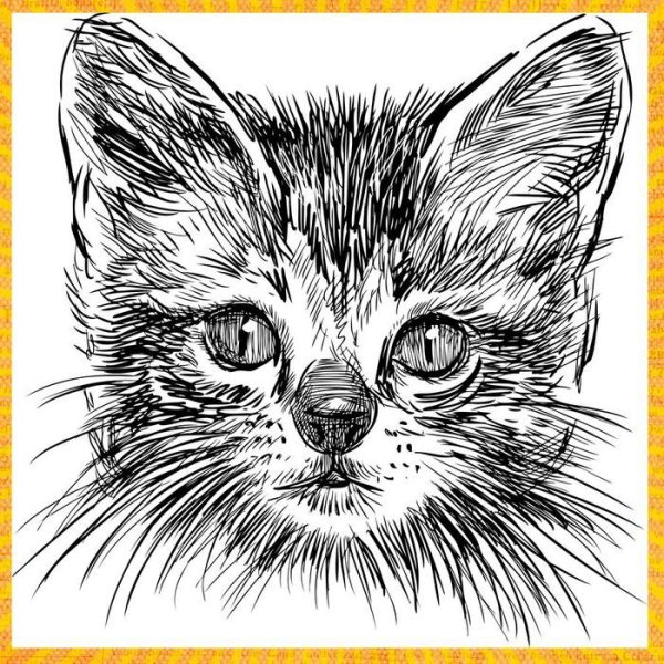 Морда котика ручкой