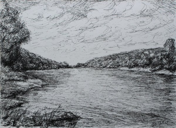 Пейзаж в графике ручкой