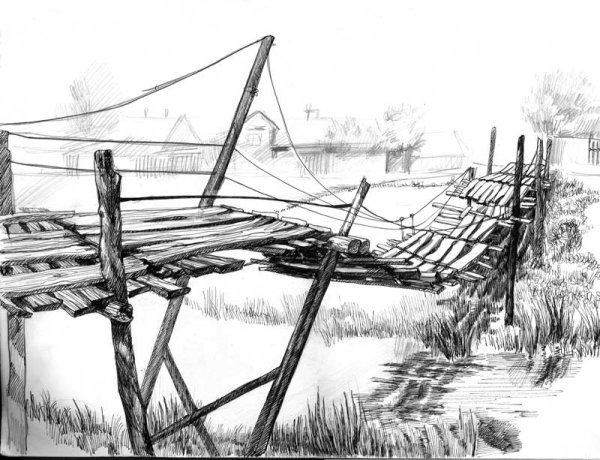 Зарисовки природы