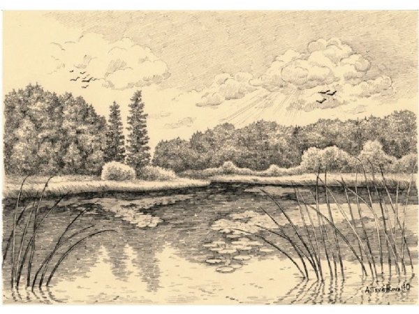 Природный пейзаж в графике