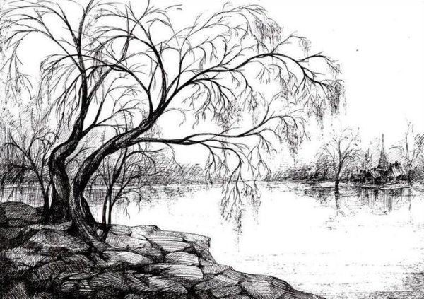 Природа карандашом