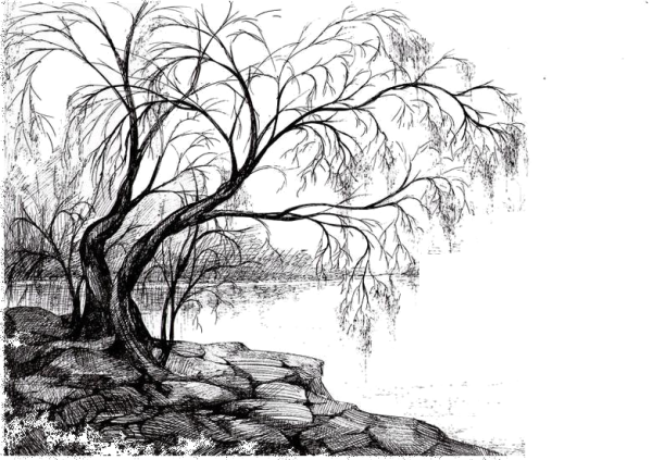 Эскиз пейзажа