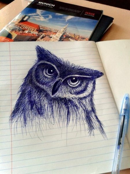 Сова нарисованная ручкой
