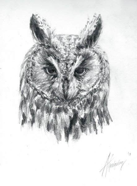 С ручкой Сова