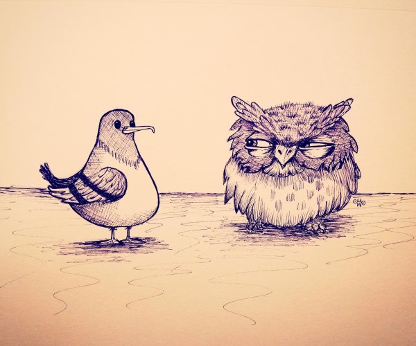 Веселые скетчи