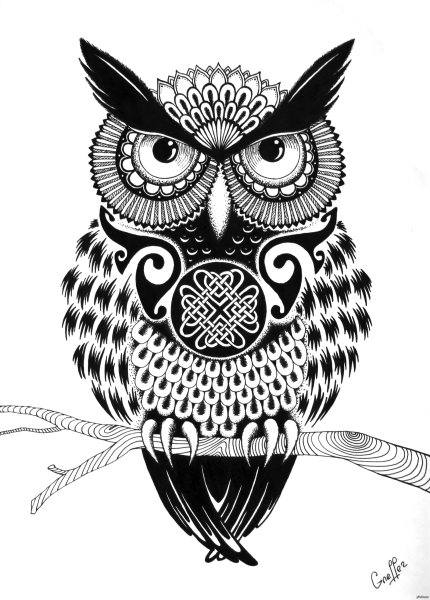 Сова Графика