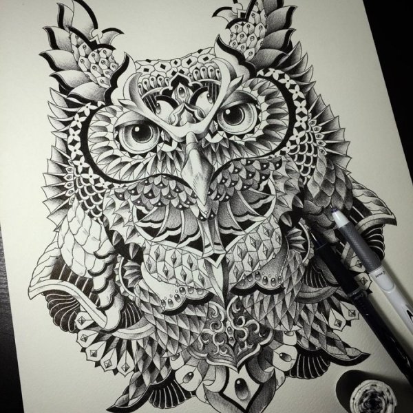 Эскиз тату Сова на спине