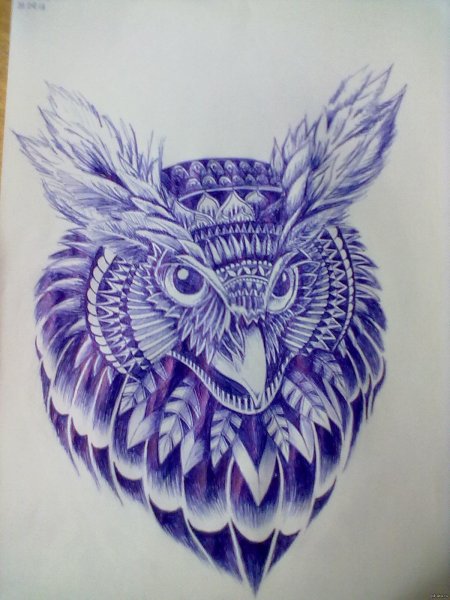 Филин рисунки ручкой