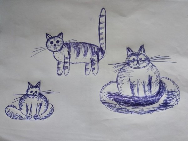 Рисунок кота ручкой
