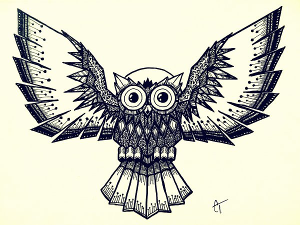 Сова рисунок