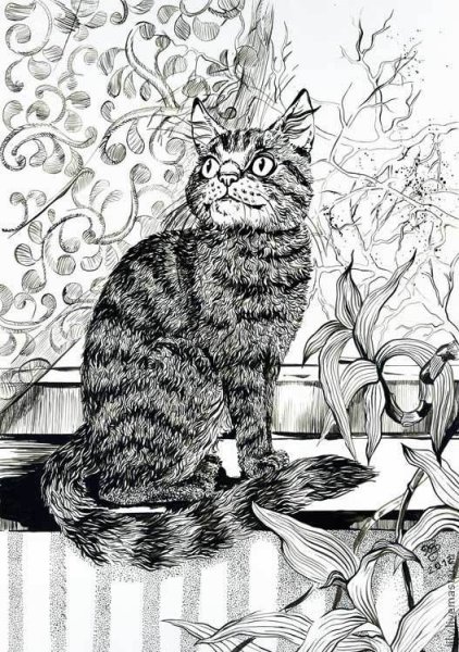 Кот Графика